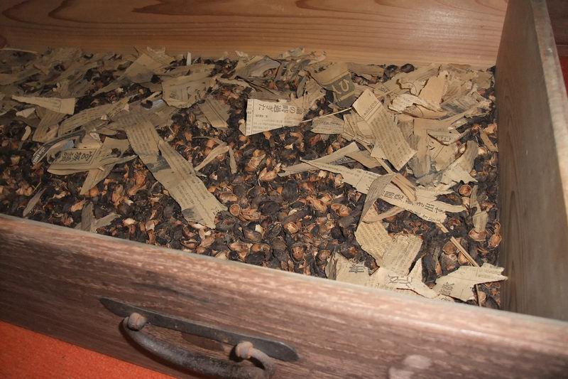 サイズ変更DSCF6583