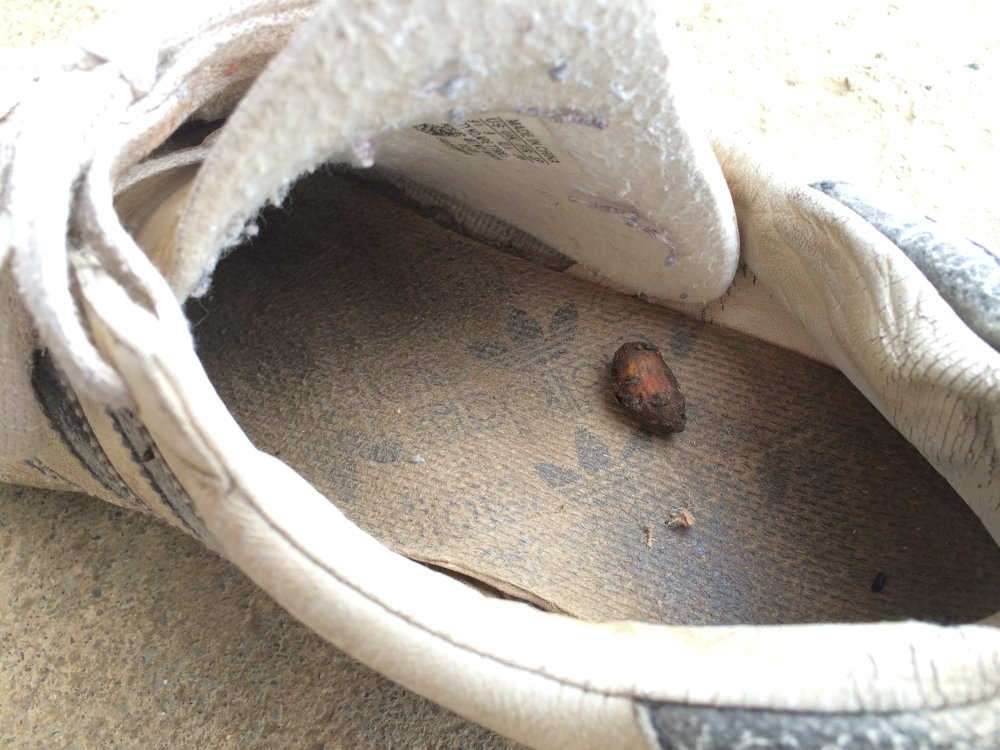 サイズ変更IMG_4783