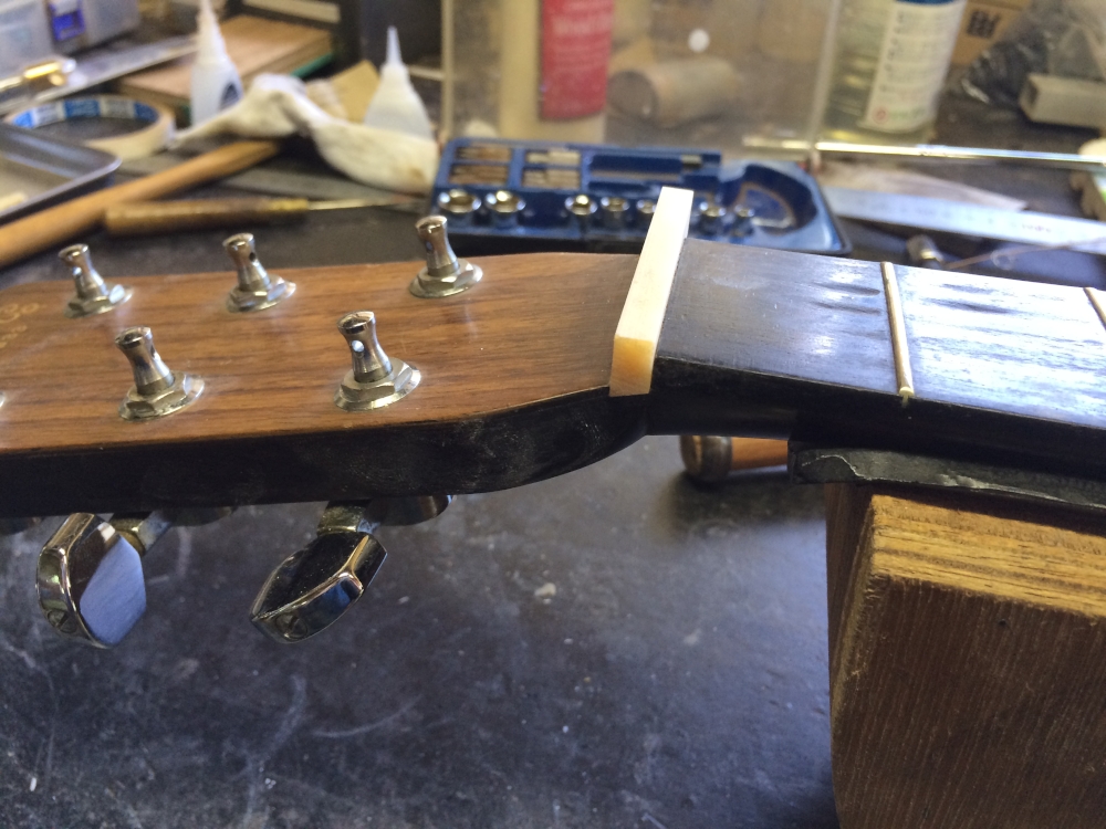 サイズ変更IMG_5084