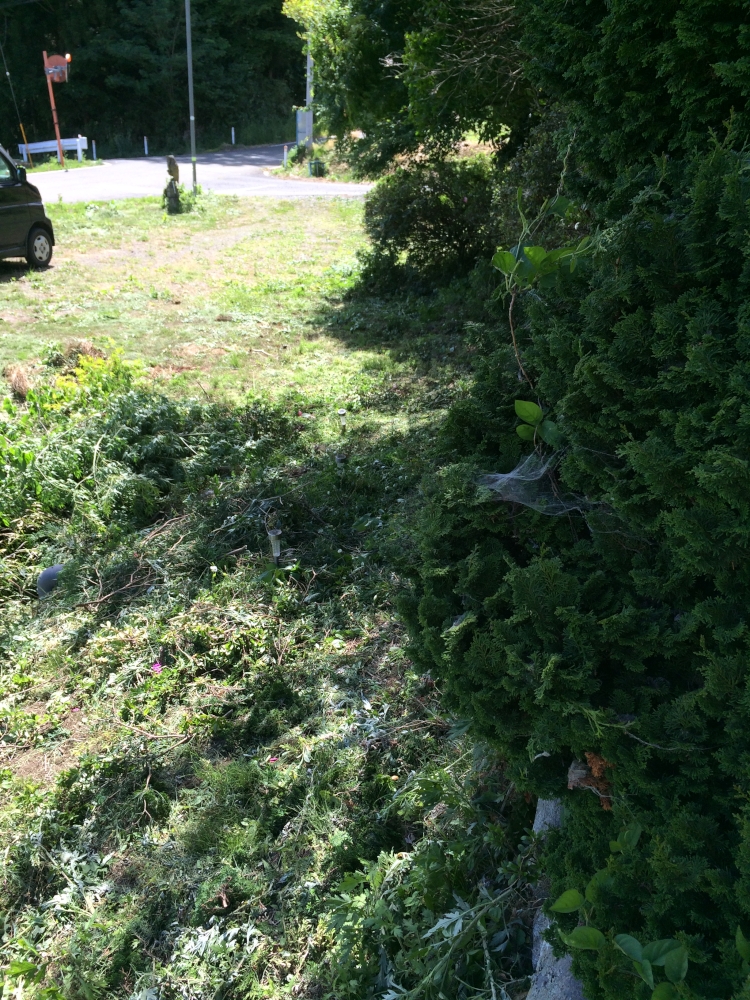 サイズ変更IMG_5089