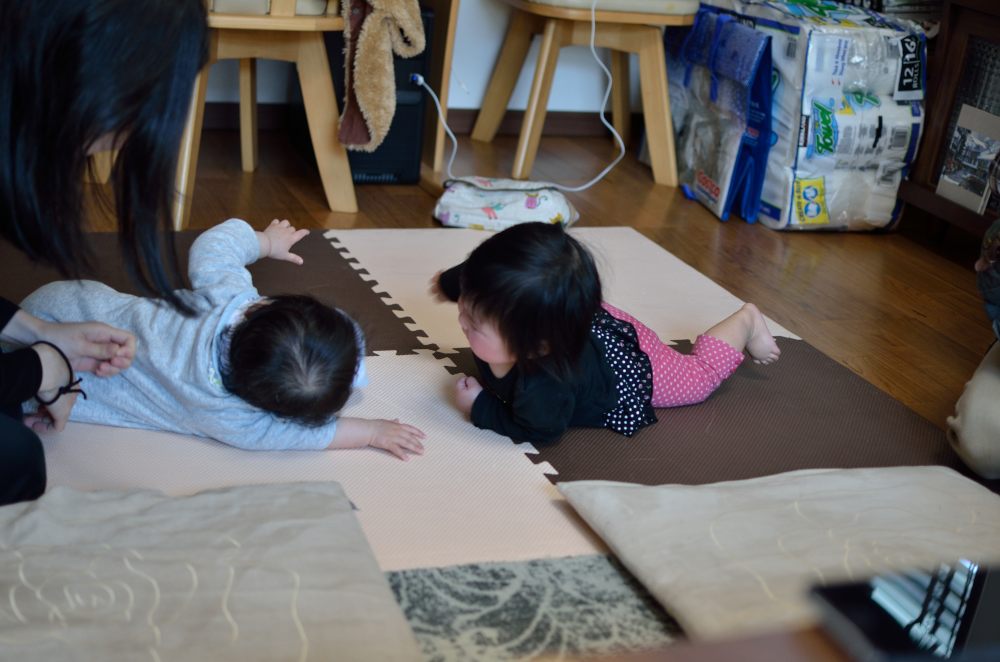 サイズ変更DSC_3252