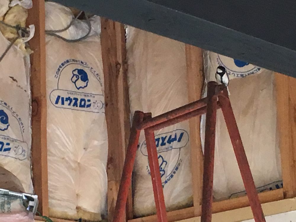 サイズ変更IMG_6575